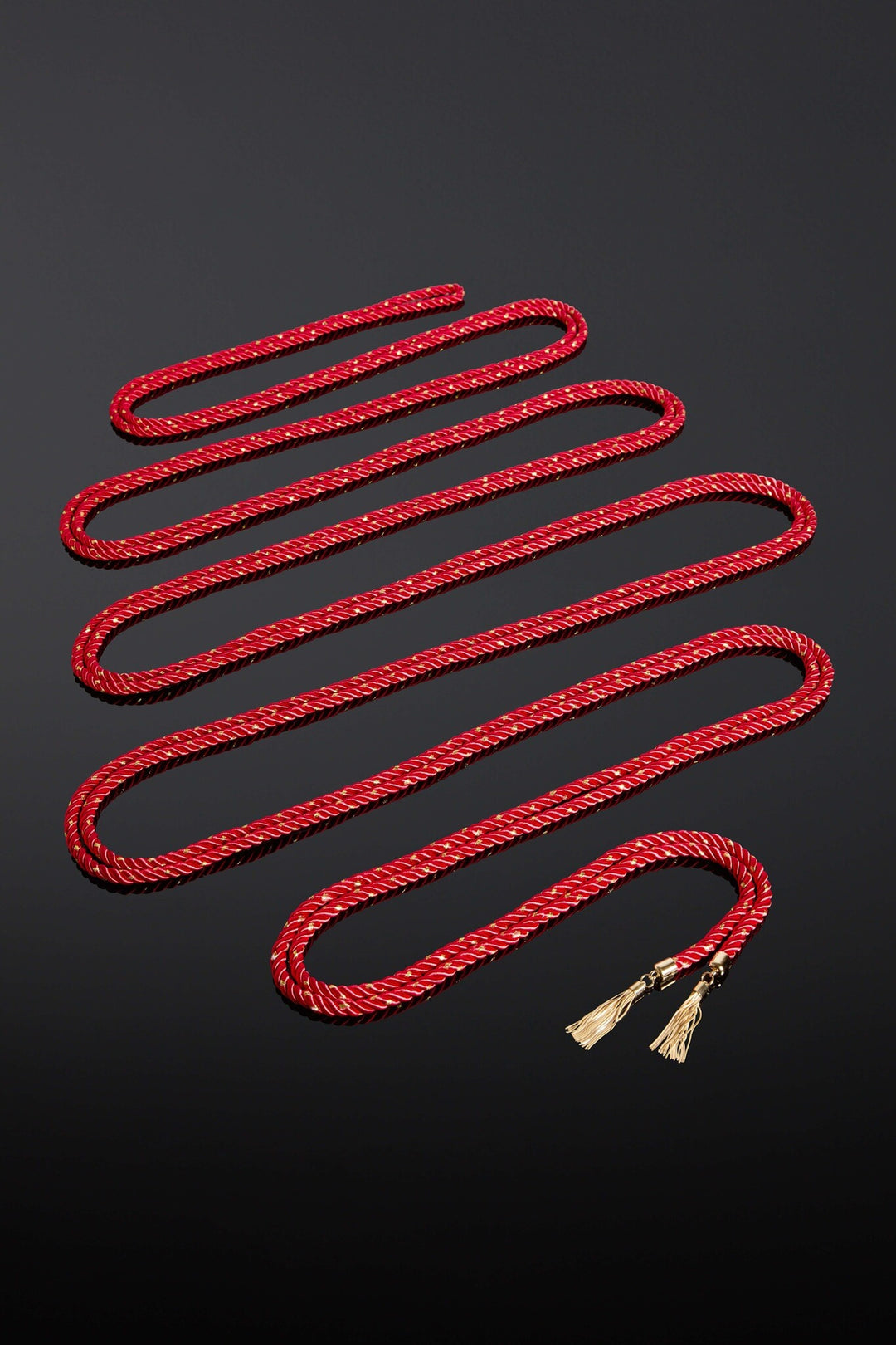 House of SXN Ligata Rubra Restraint Conducive Rope