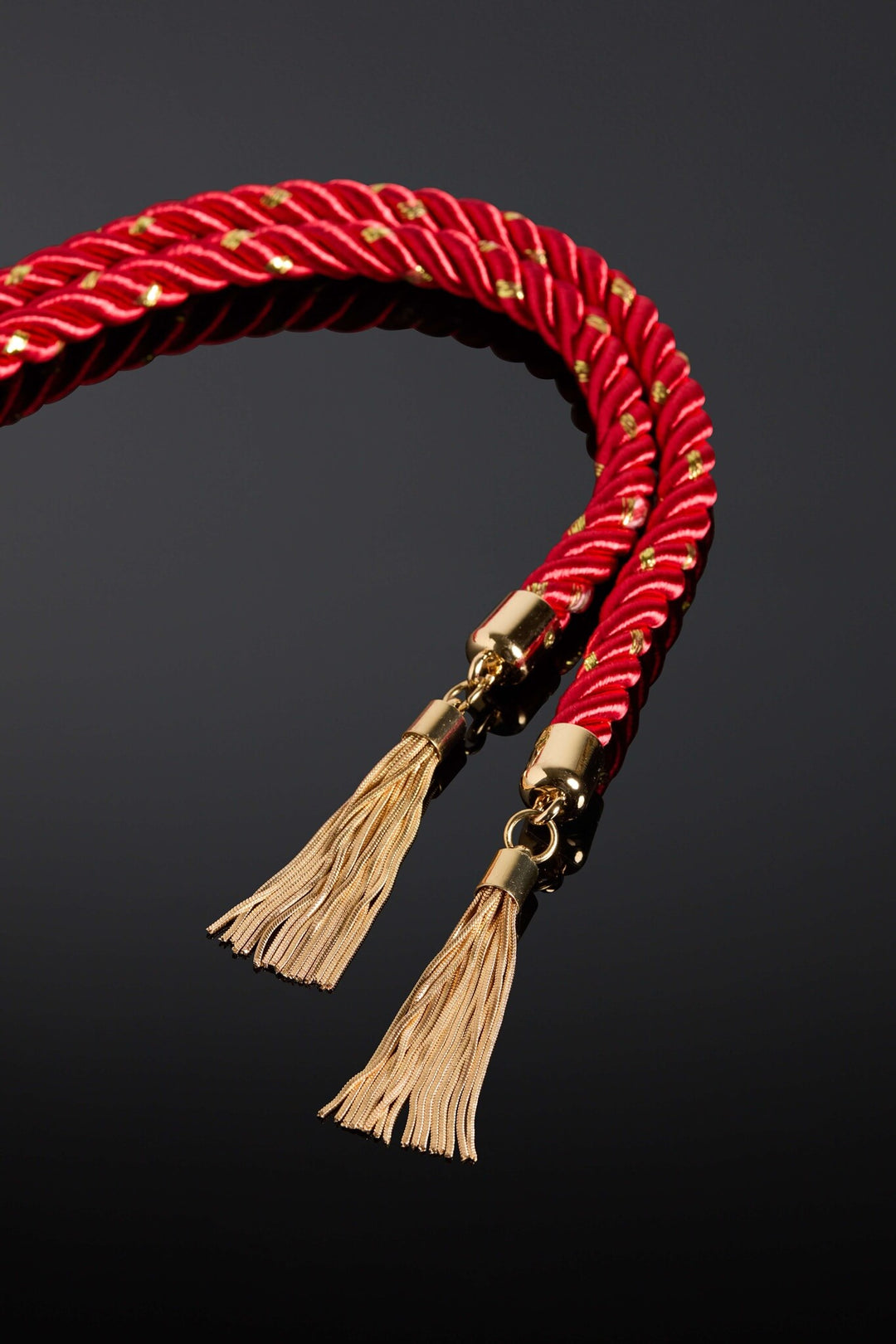 House of SXN Ligata Rubra Restraint Conducive Rope