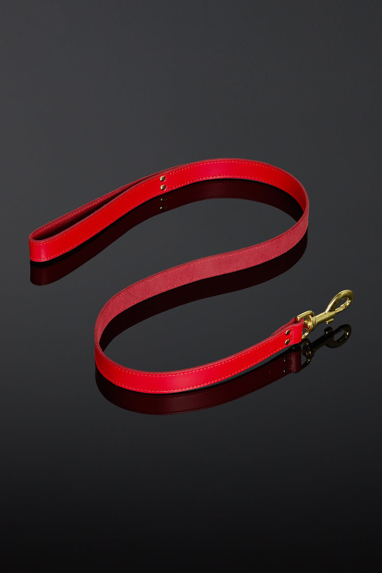Red leash with a gold clip on a black background