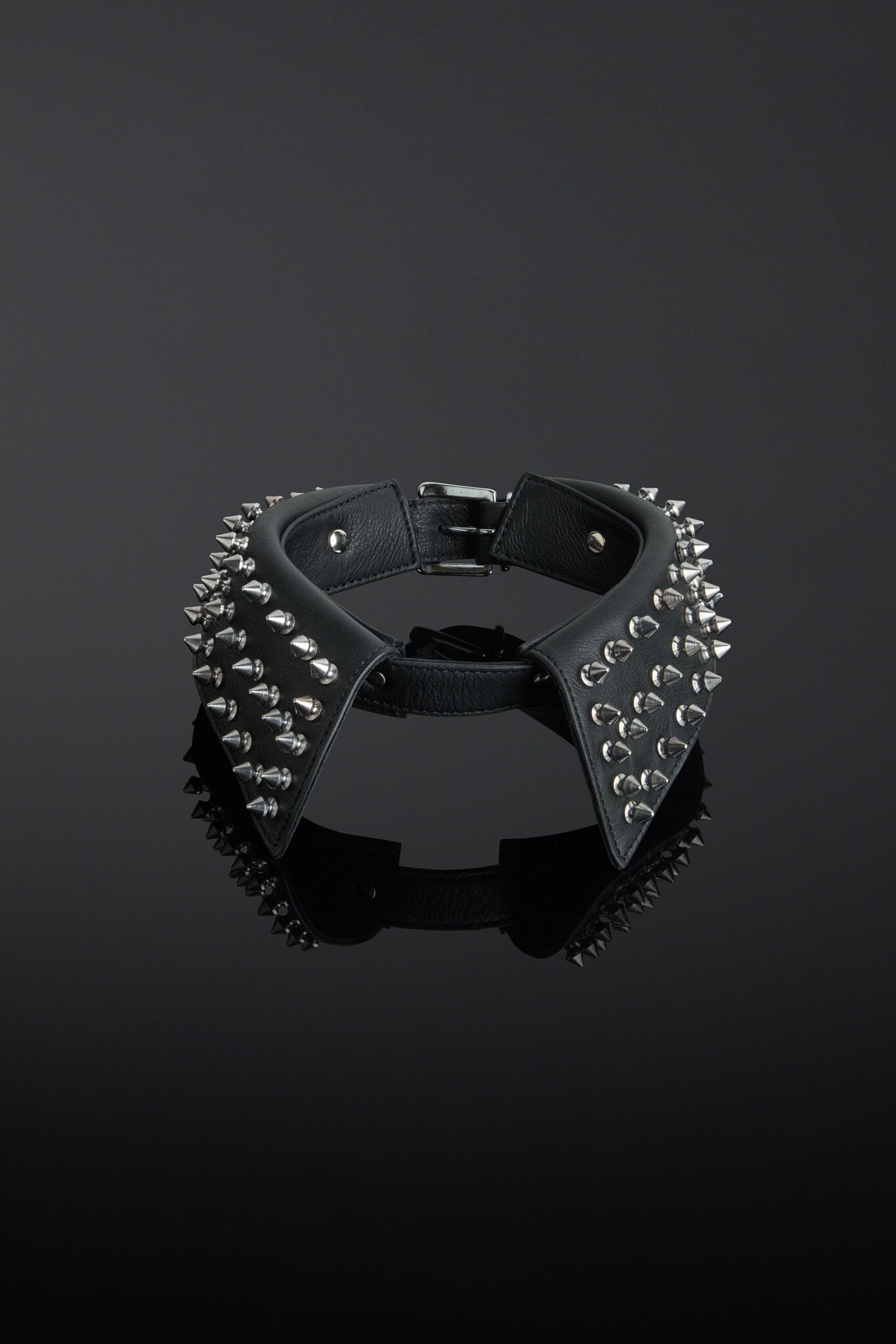 Black leather collar with silver studs on a black background
