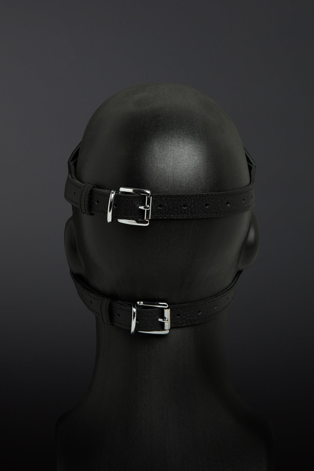 Black leather head harness with metal buckles on a dark background