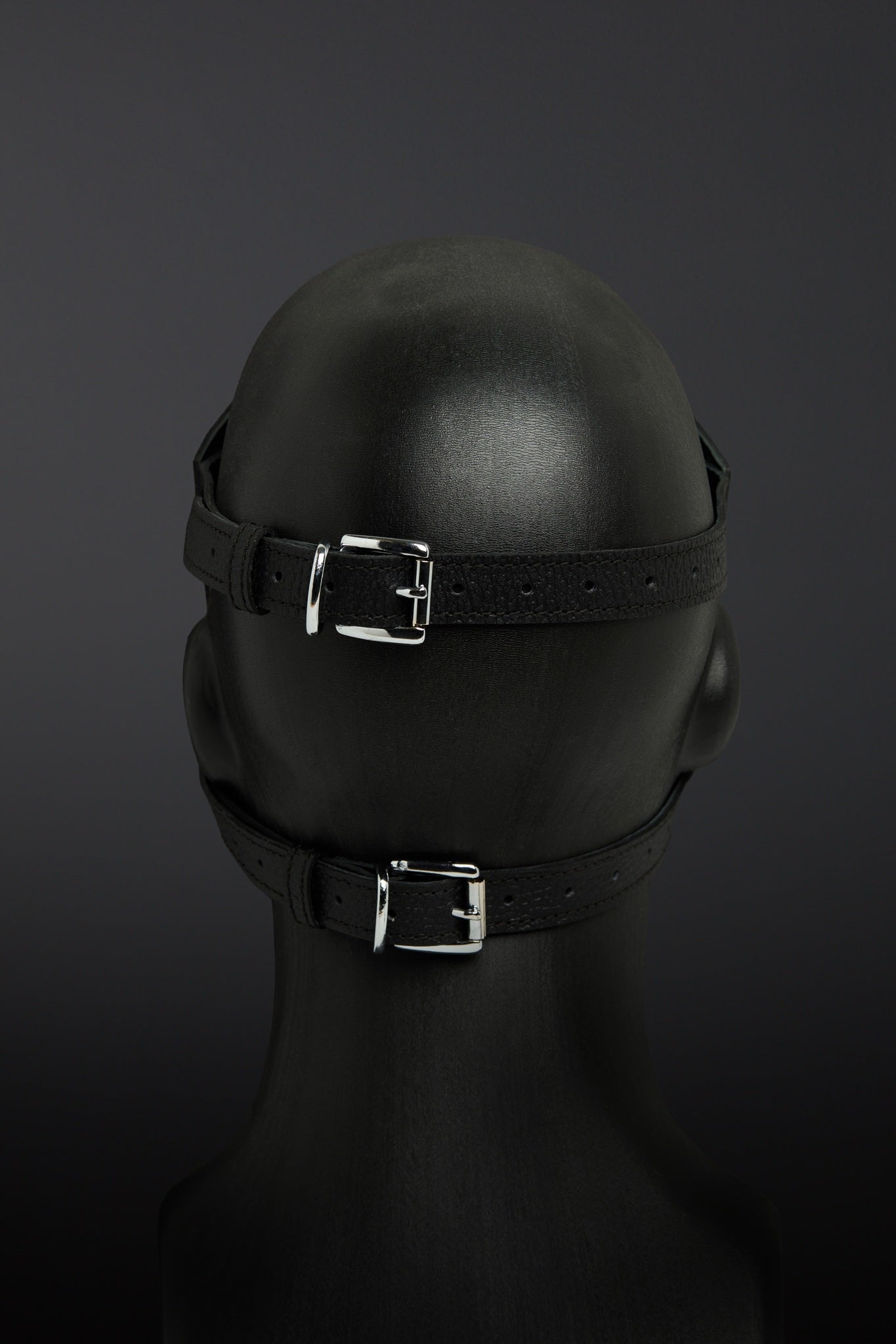 Black leather head harness with metal buckles on a dark background
