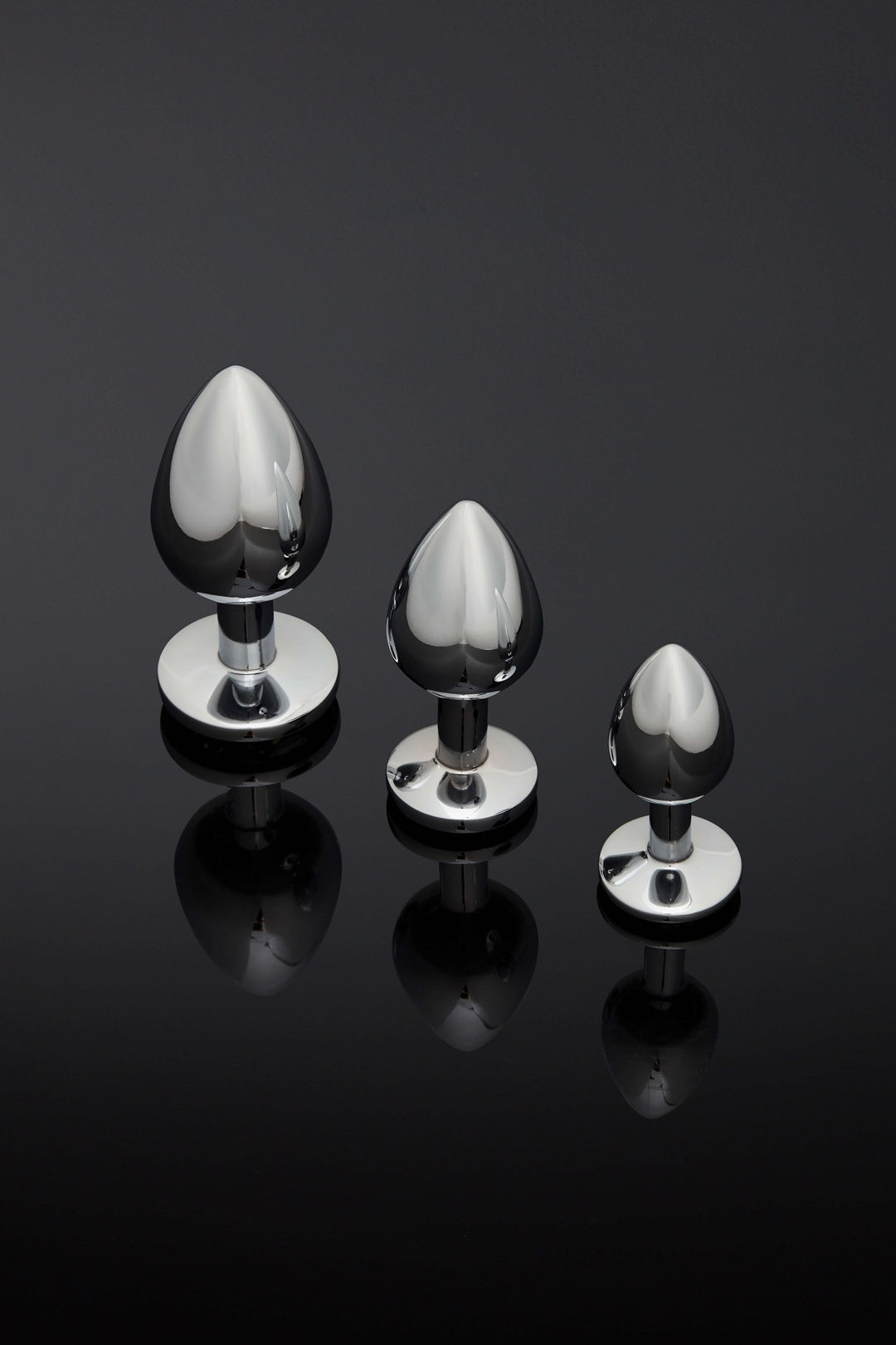 House of SXN Stainless Steel Luxury Butt Plug 4