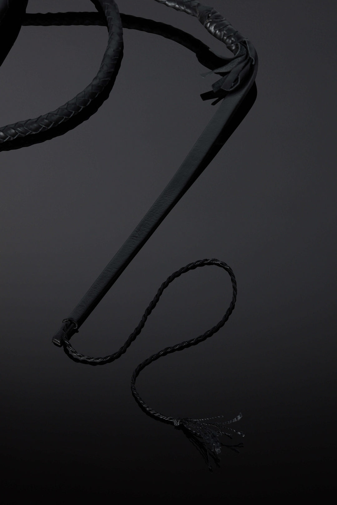 House of SXN Flagella Leather Whip 3