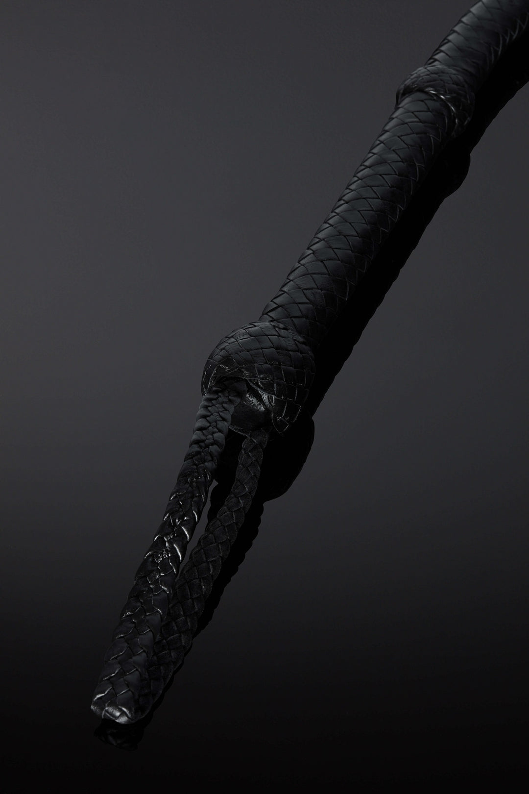 House of SXN Flagella Leather Whip 4