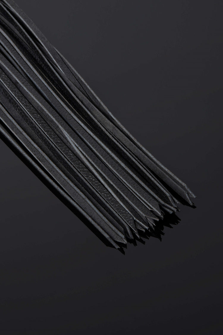 House of SXN The Imperial Crystal Handle Flogger 2