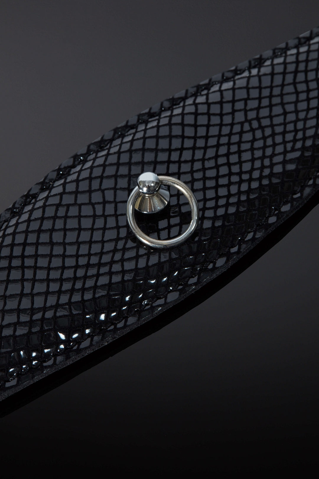 House of SXN Classic Serpens Collar 2